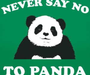 The Key to Panda Does Not Affect Your E-Commerce